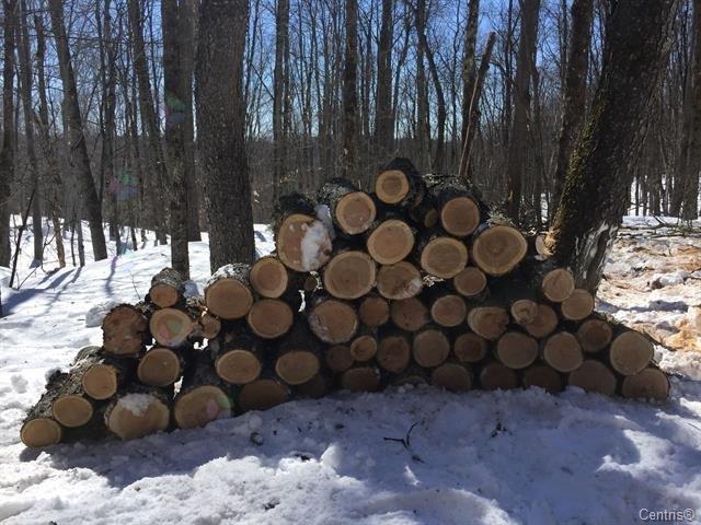 Ch. Des Cumulus Property Photo 9