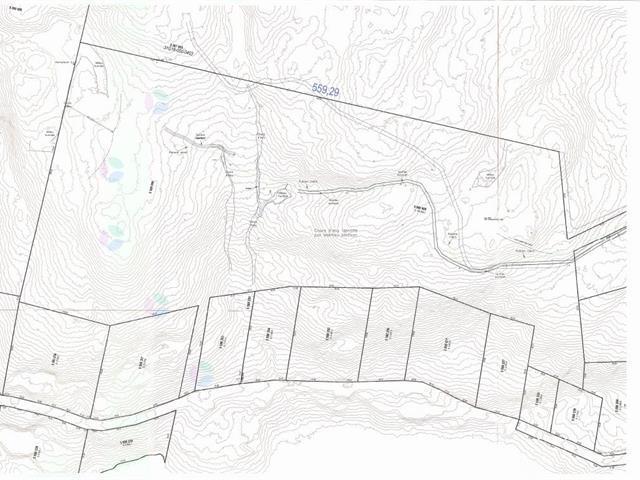 Ch. Des Cumulus Property Photo 13