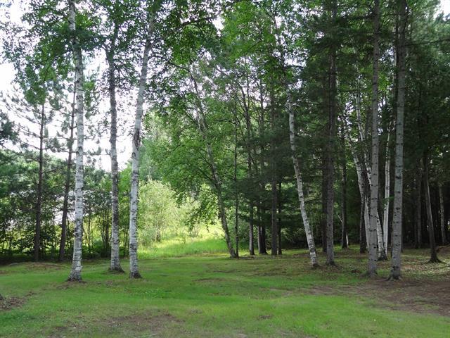 65z Ch. Anderson Property Photo 20