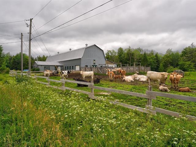 1154 Ch. Du Quartier-auger Property Photo 20