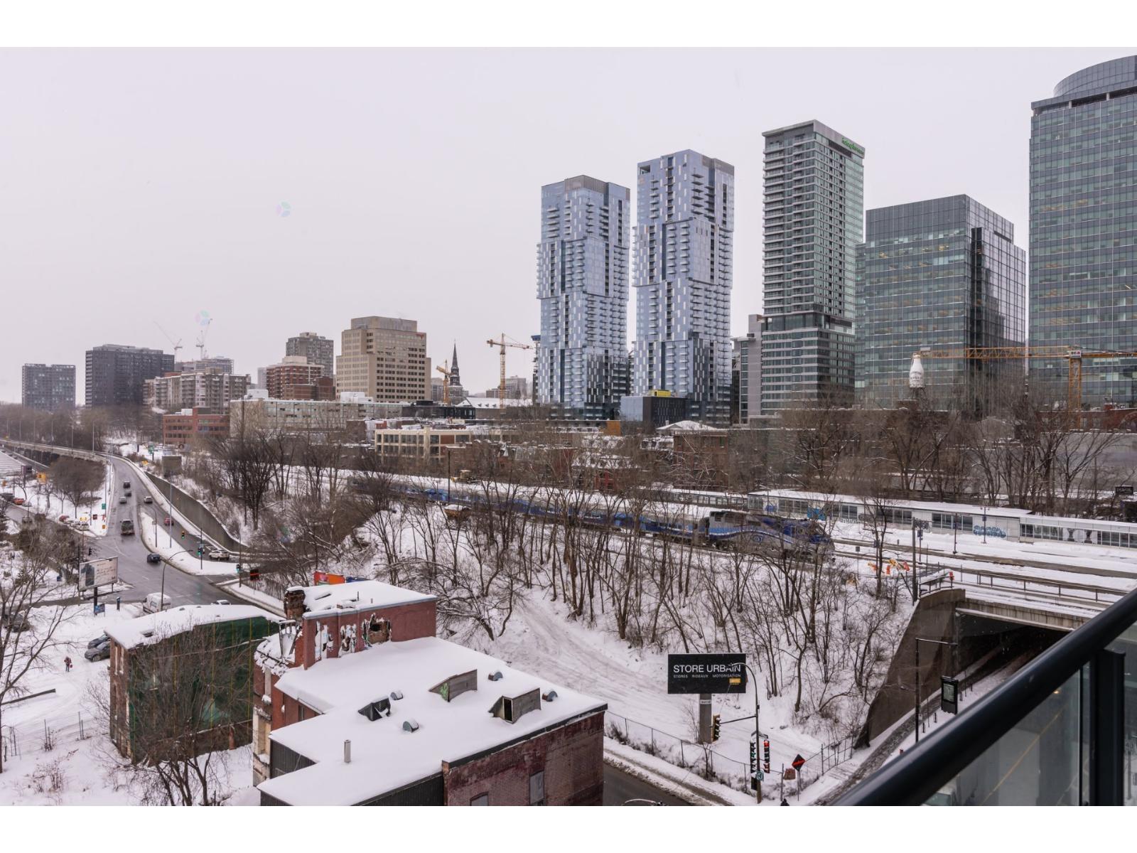 1288 Rue St-antoine O., #1001 Property Photo 22