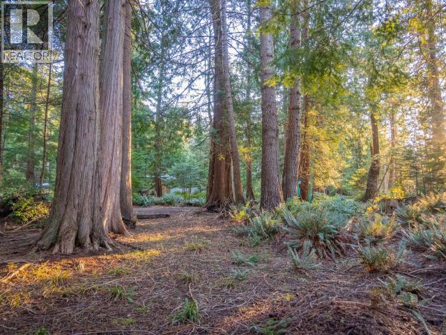 1136 Herchmer Road Property Photo 5