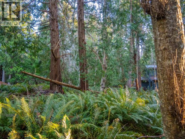 1136 Herchmer Road Property Photo 11