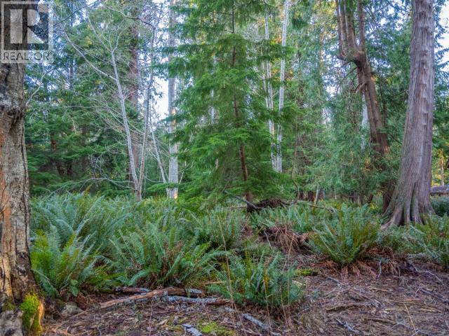 1136 Herchmer Road Property Photo 12