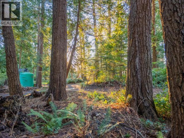 1136 Herchmer Road Property Photo 23