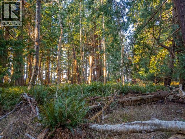 1136 Herchmer Road Property Photo 26