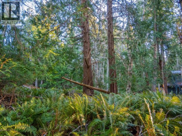 1136 Herchmer Road Property Photo 27