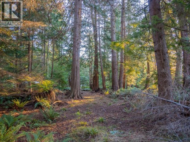 1136 Herchmer Road Property Photo 31