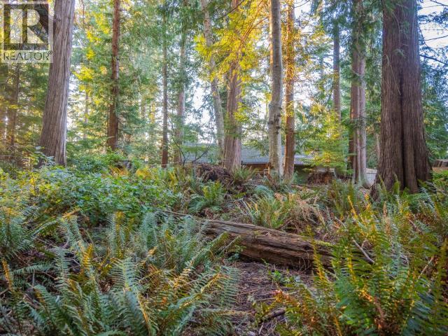 1136 Herchmer Road Property Photo 33