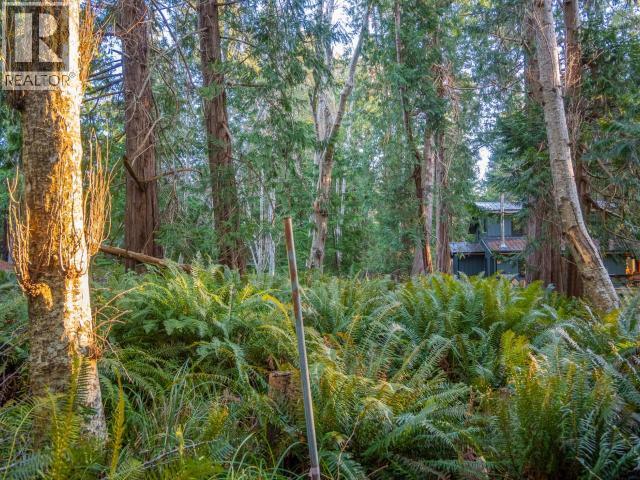 1136 Herchmer Road Property Photo 48