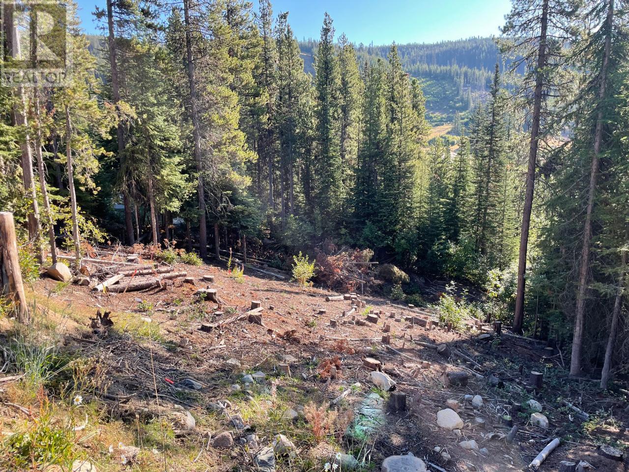 Lot 122 Wapiti Creek Road Property Photo 1