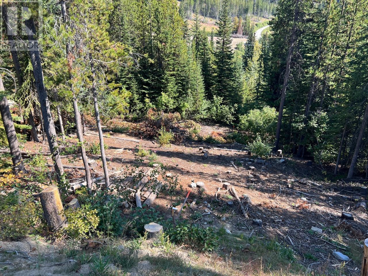 Lot 122 Wapiti Creek Road Property Photo 2