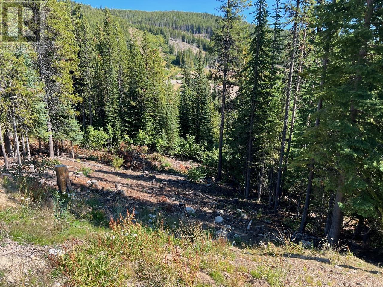 Lot 122 Wapiti Creek Road Property Photo 3