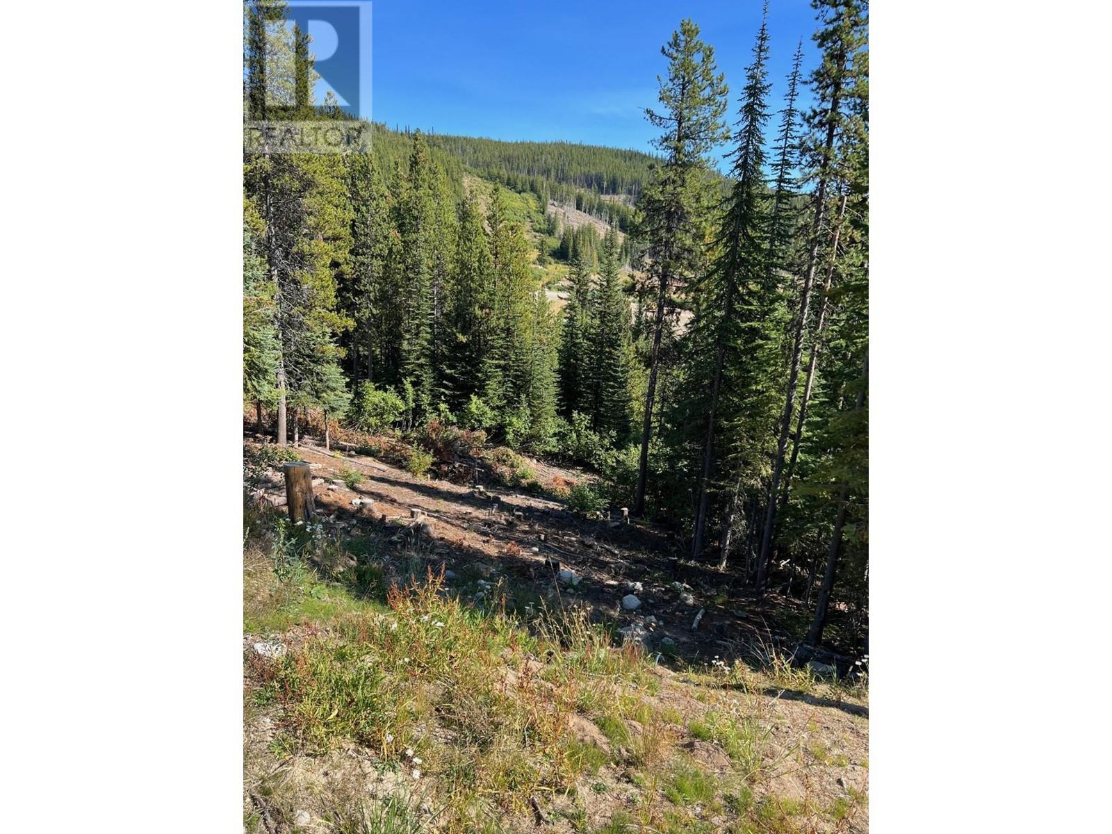 Lot 122 Wapiti Creek Road Property Photo 4