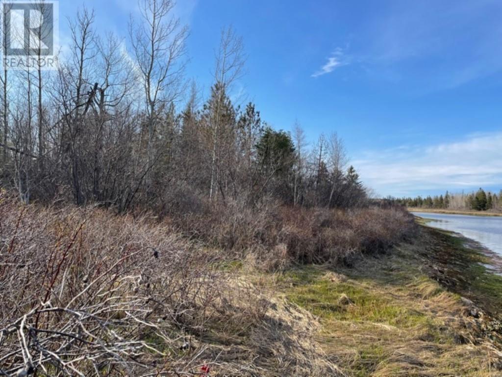 Lots 1,2,21,22 Wildwood Court, Cross Shores Estates Property Photo 4