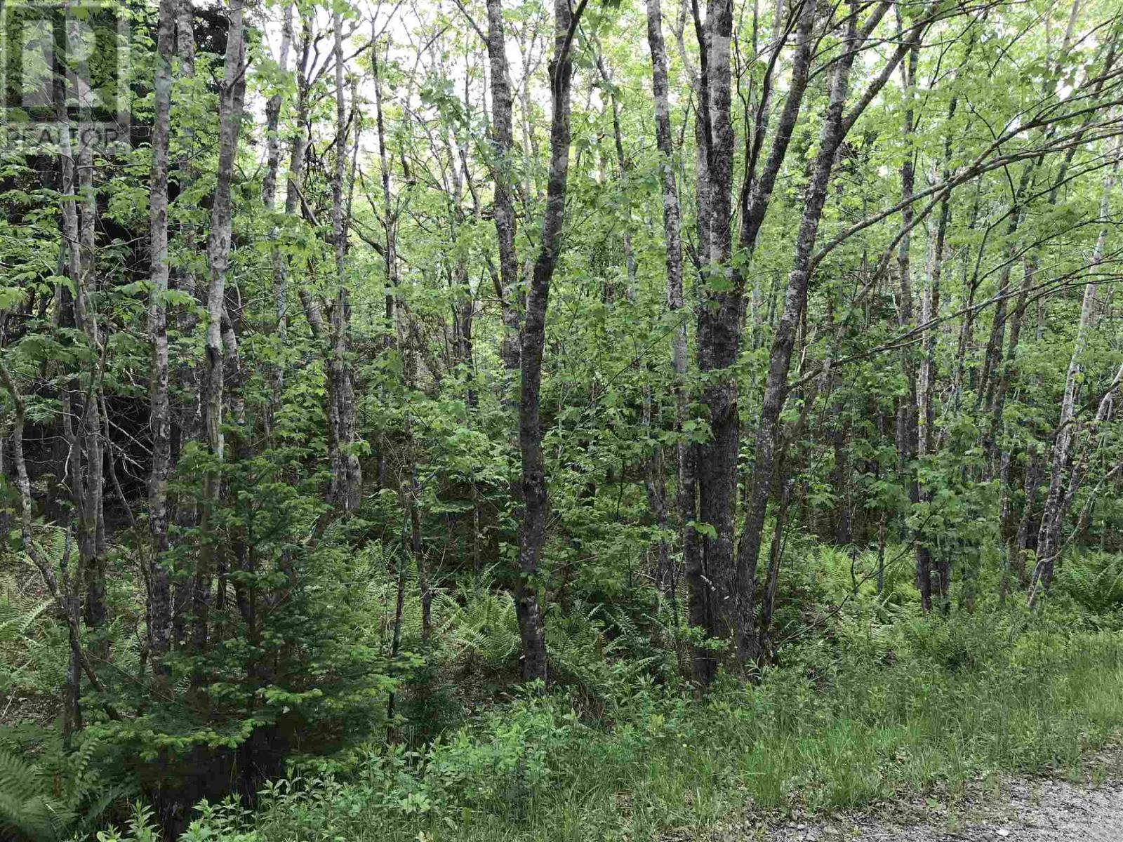 53.03 Acres Highway 308 Highway Property Photo 1