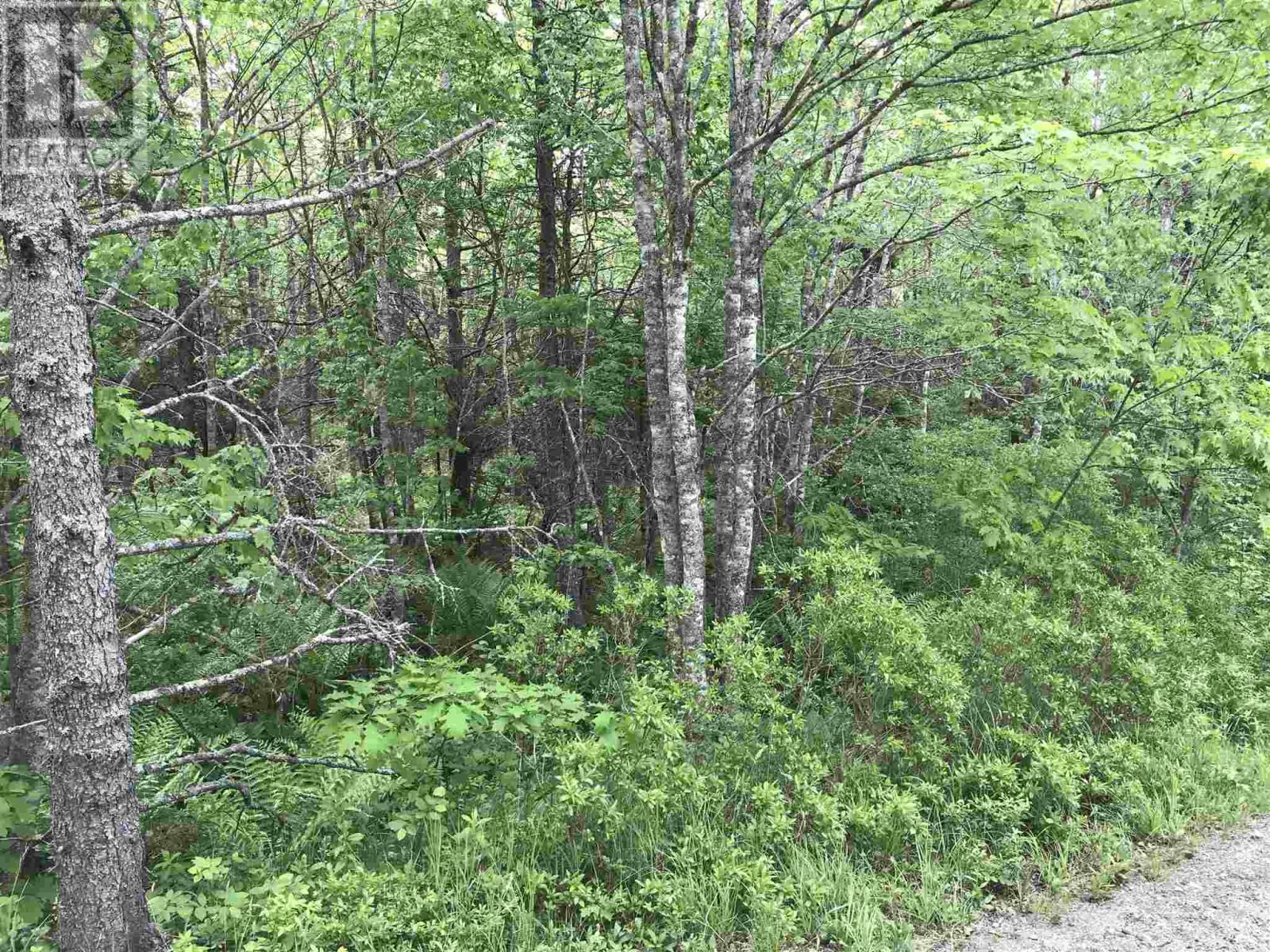 53.03 Acres Highway 308 Highway Property Photo 3