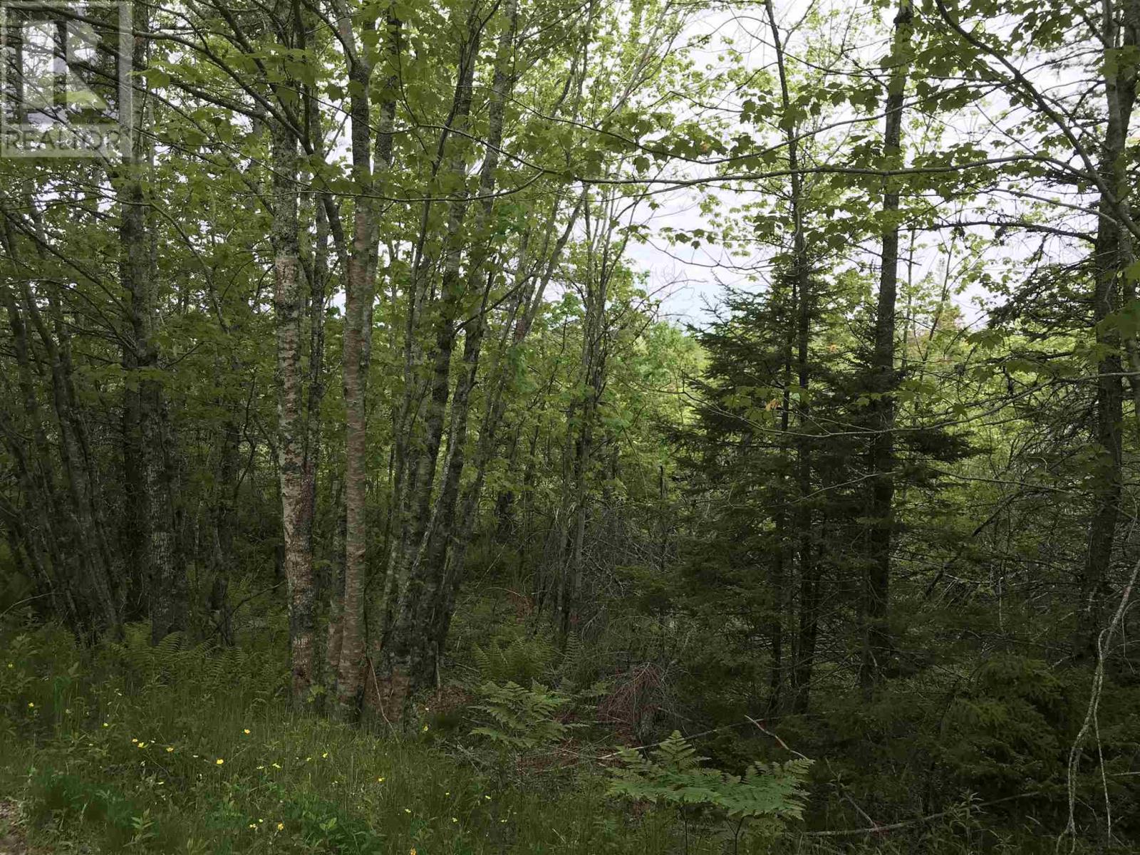 53.03 Acres Highway 308 Highway Property Photo 4