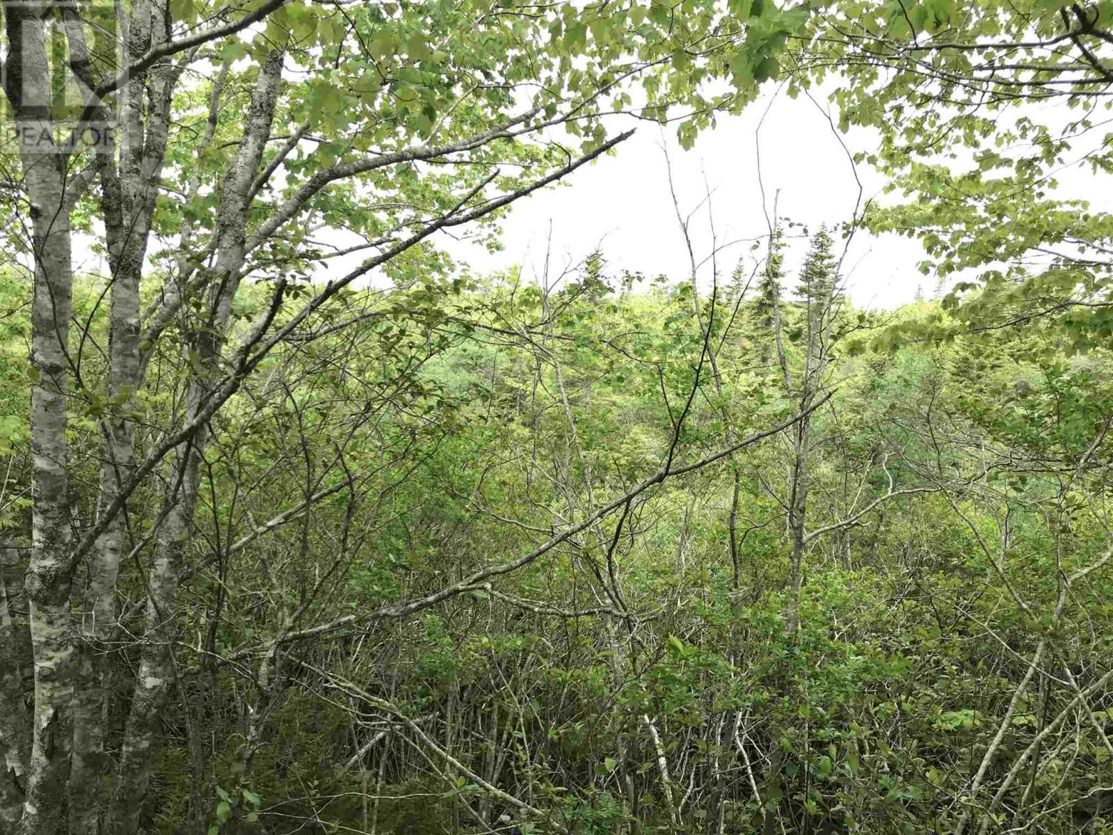 53.03 Acres Highway 308 Highway Property Photo 5