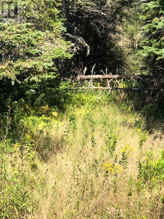#4 Highway Property Photo 5