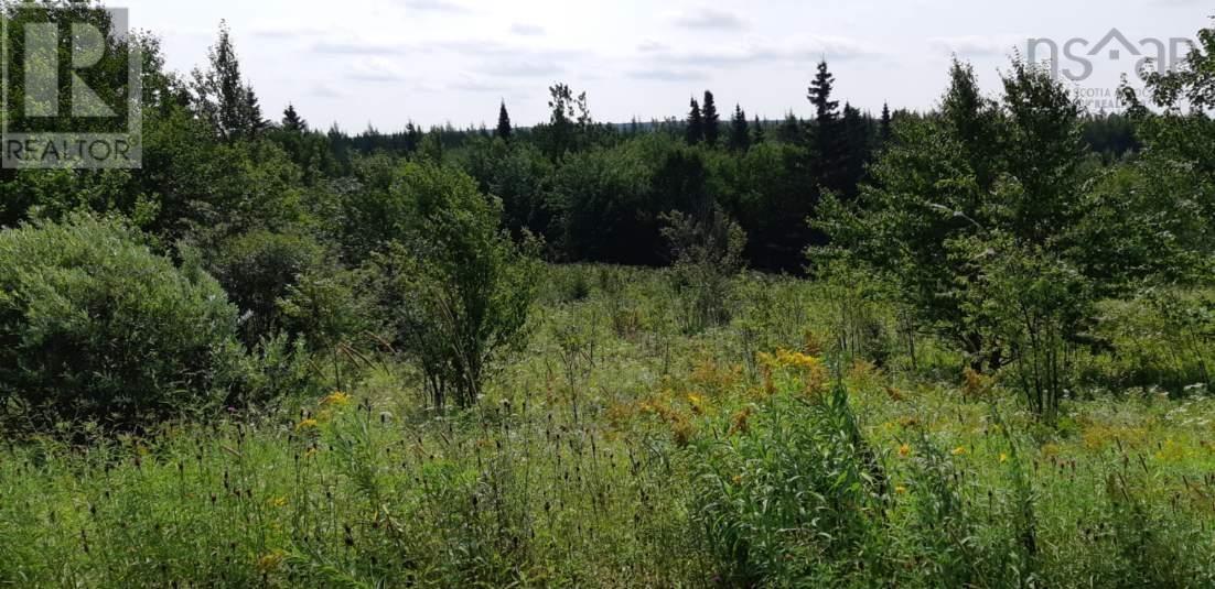 Lot Salem Road Property Photo 3