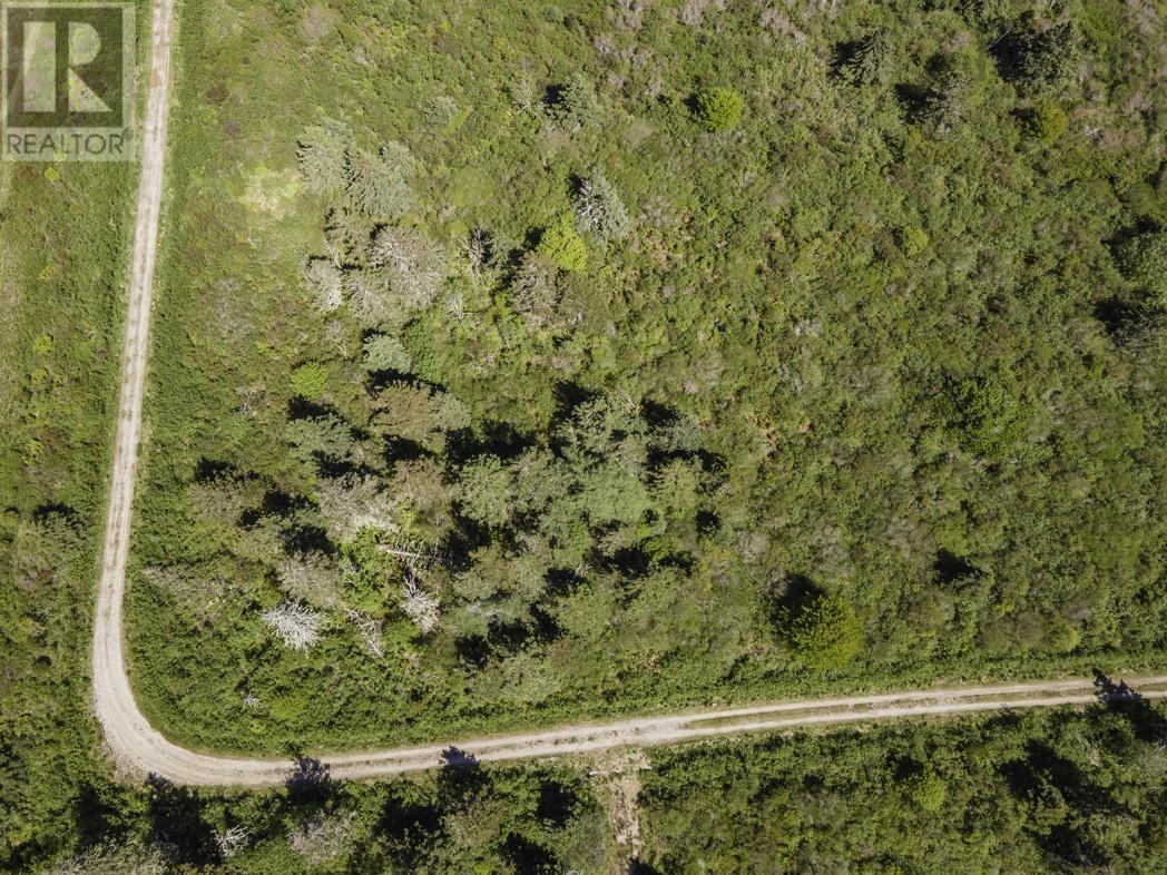 Lot 4 Highway 1 Property Photo 11