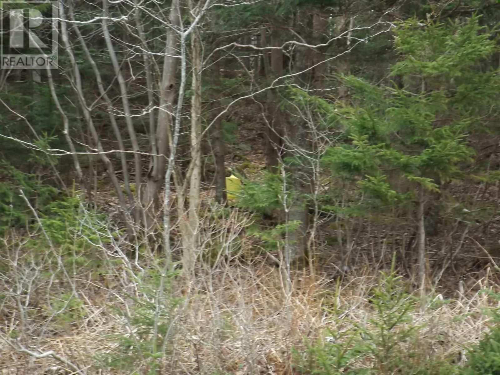 Roberts Island Road Property Photo 2