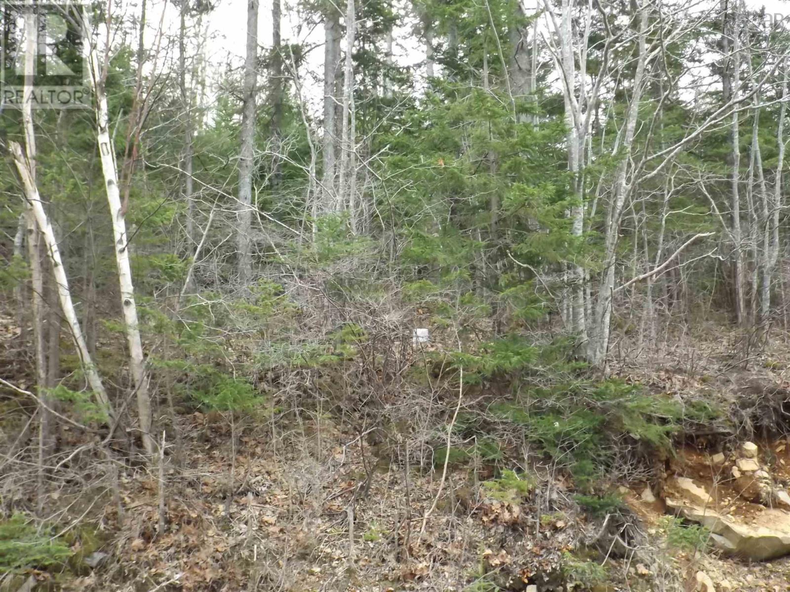 Roberts Island Road Property Photo 4