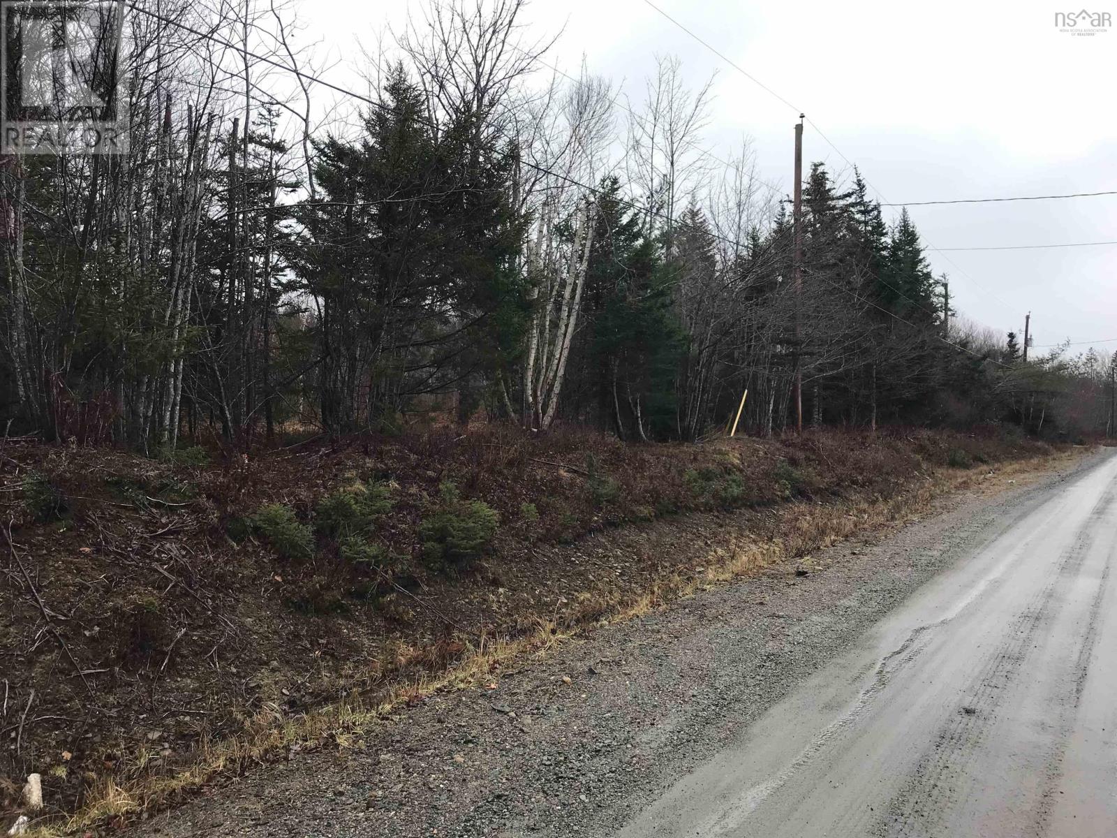 Lot, Belleville Road Property Photo 1