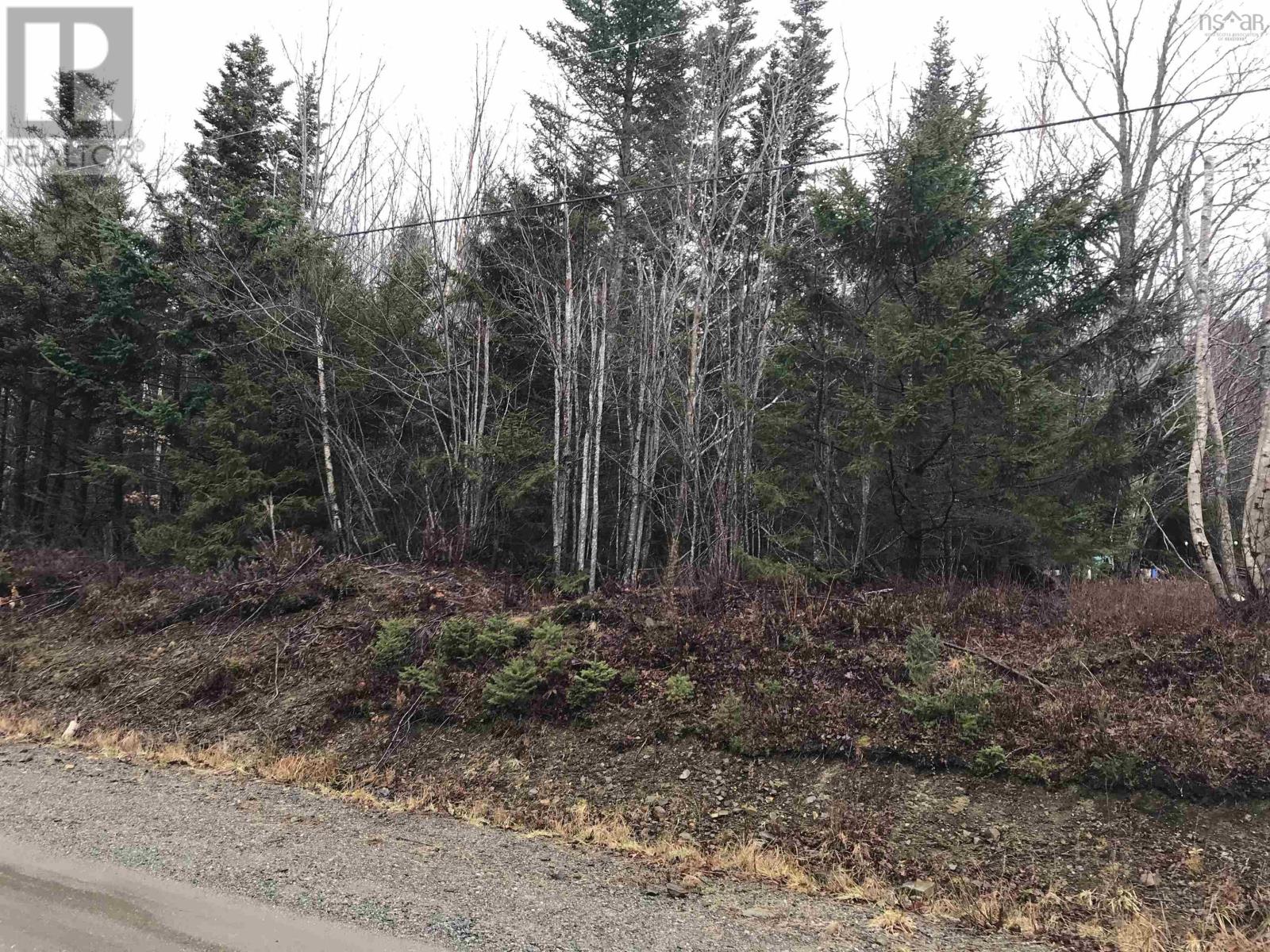 Lot, Belleville Road Property Photo 3