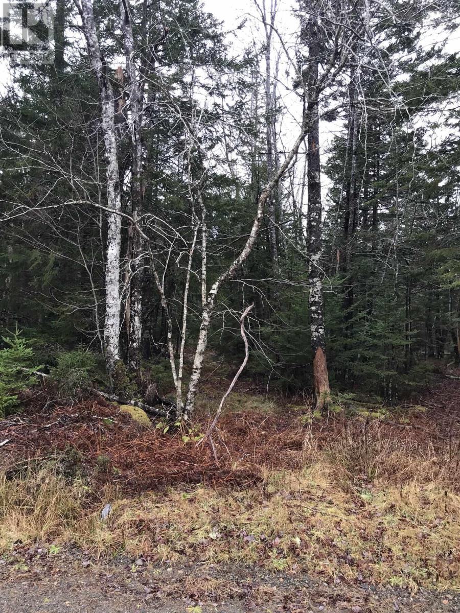 Lot Belleville Road Property Photo 3