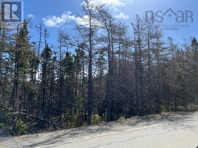 Highway 206 Property Photo 1