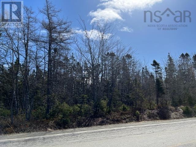 Highway 206 Property Photo 2