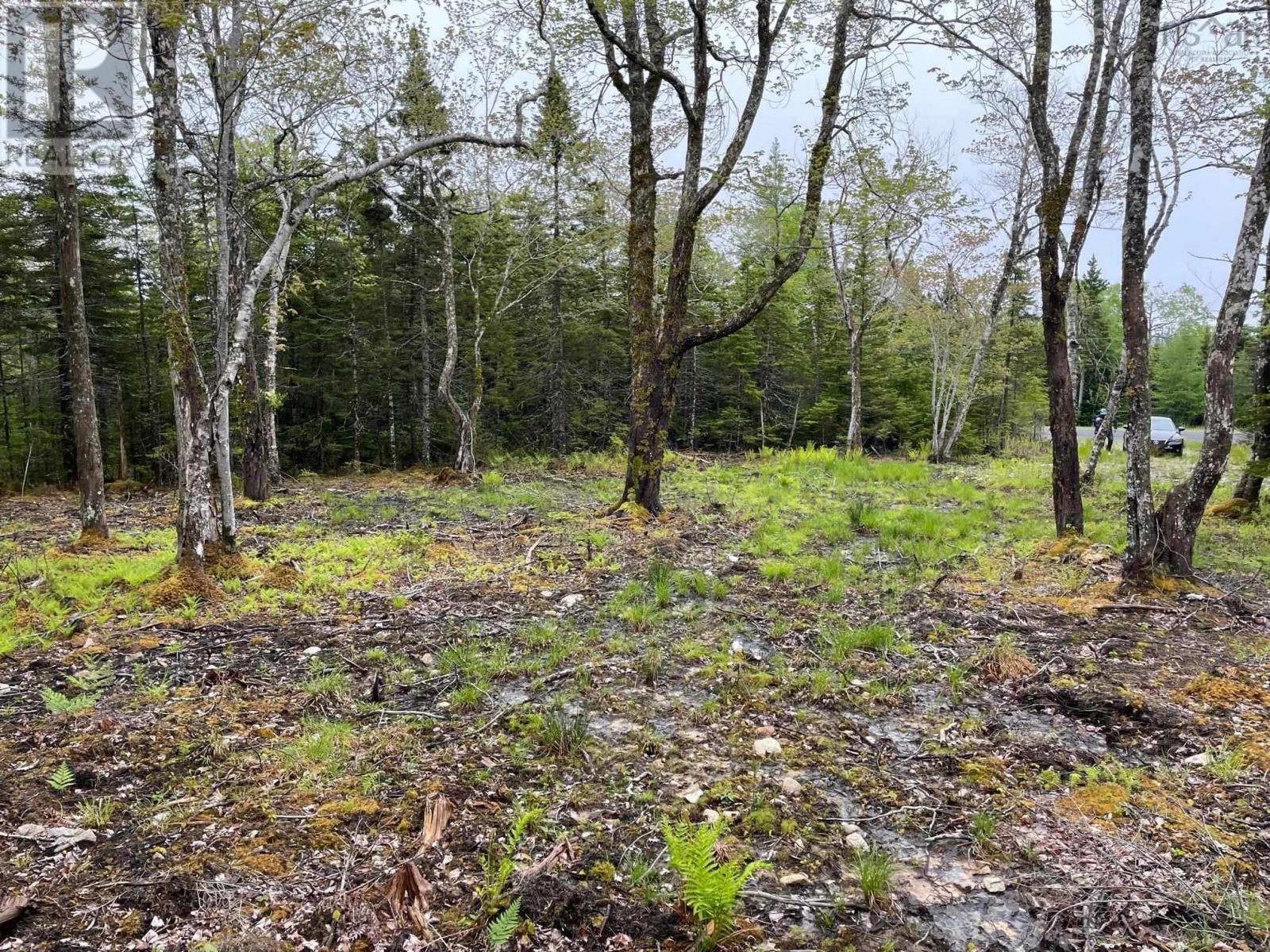 Lot 1a-81 Maple Drive Property Photo 1