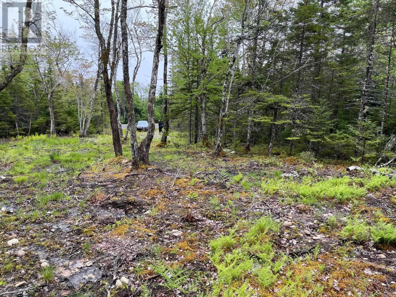 Lot 1a-81 Maple Drive Property Photo 2