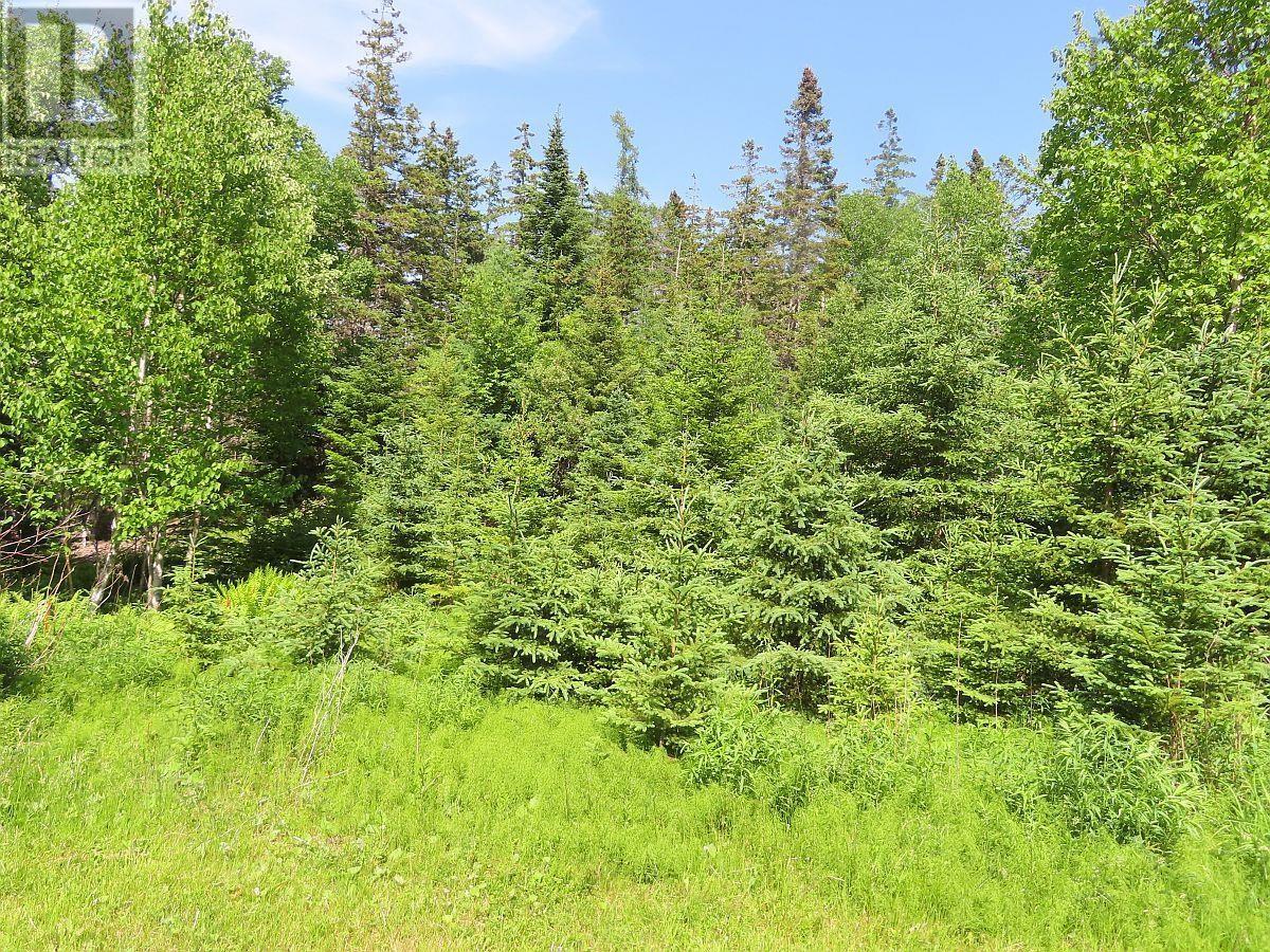 99-5 72 Naturer Dream P Boulevard Property Photo 2