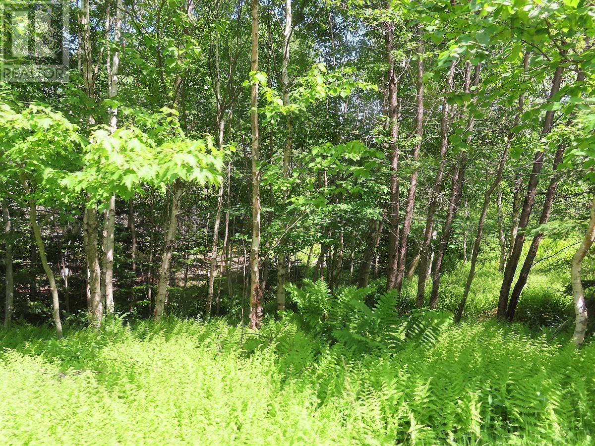 99-5 72 Naturer Dream P Boulevard Property Photo 3