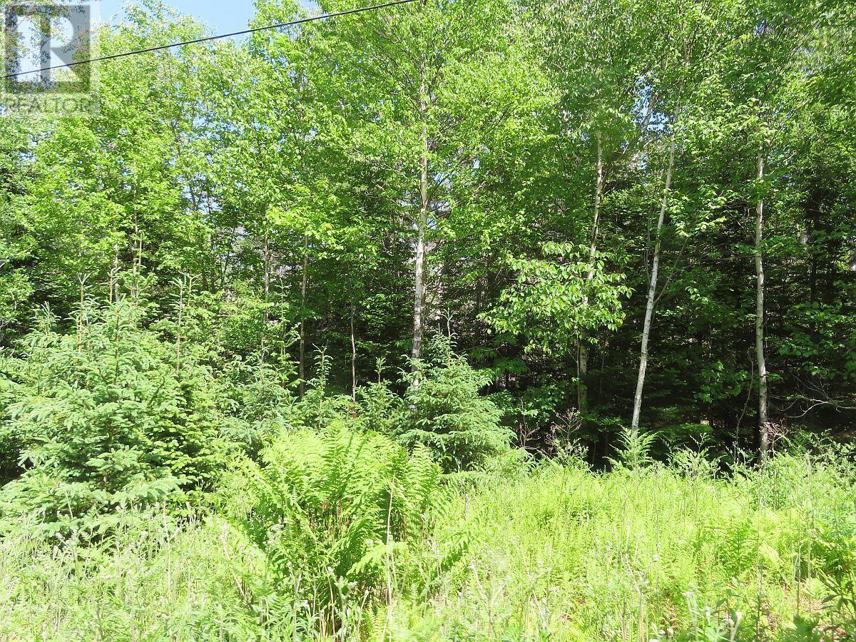 99-5 72 Naturer Dream P Boulevard Property Photo 4