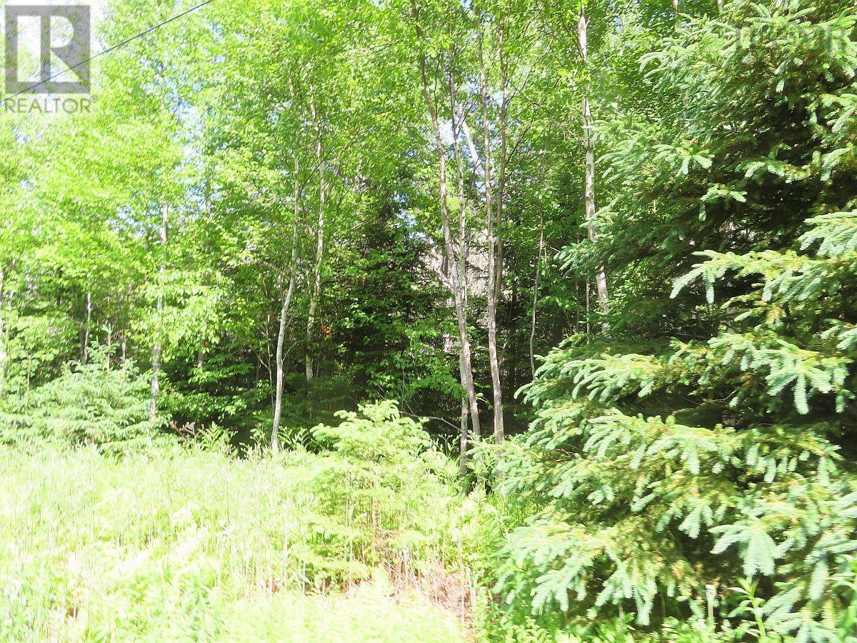 99-5 72 Naturer Dream P Boulevard Property Photo 5
