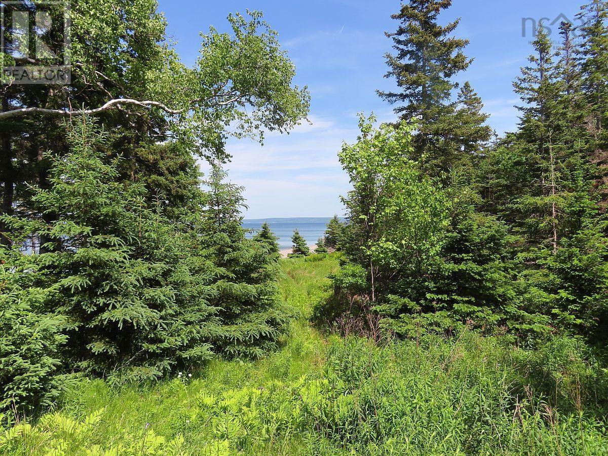 99-5 72 Naturer Dream P Boulevard Property Photo 6