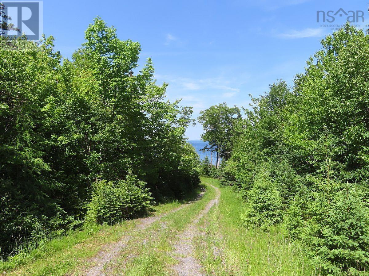 99-5 72 Naturer Dream P Boulevard Property Photo 11
