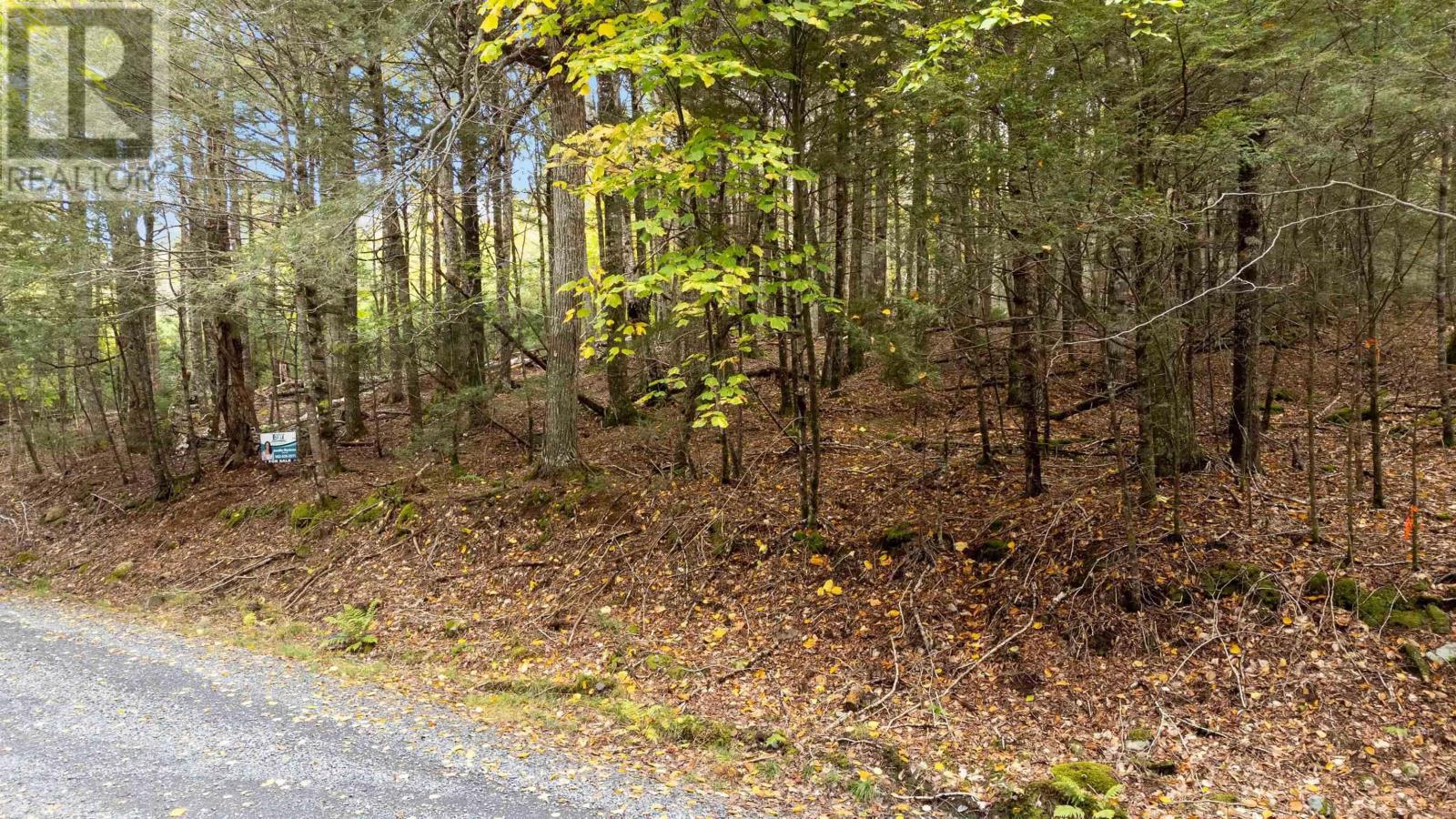 Lot 36 Beaver Dam Crossover Property Photo 1