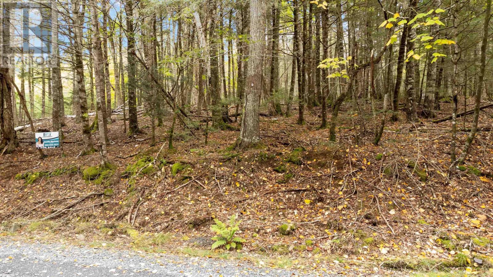 Lot 36 Beaver Dam Crossover Property Photo 11
