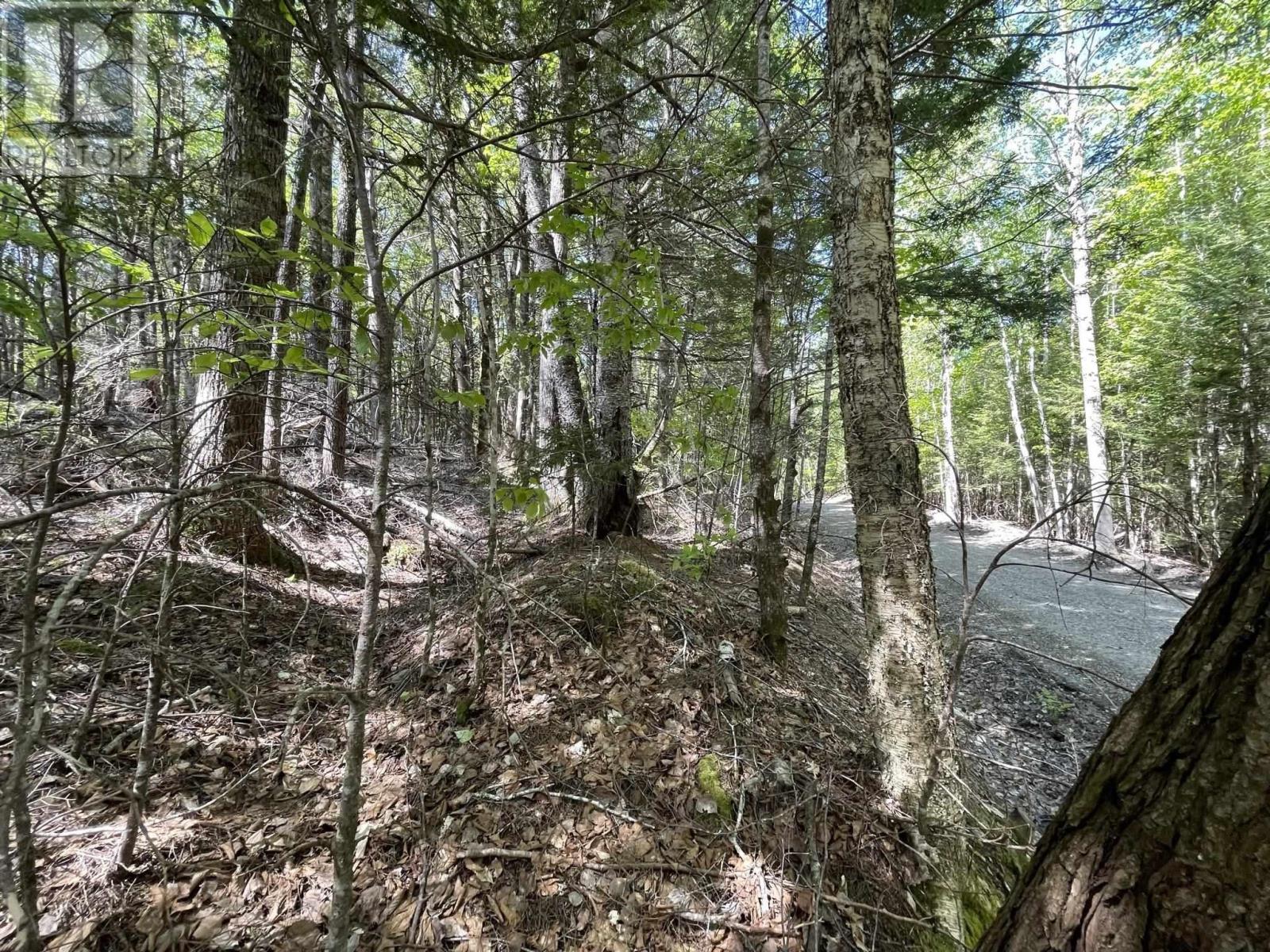 Lot 36 Beaver Dam Crossover Property Photo 14