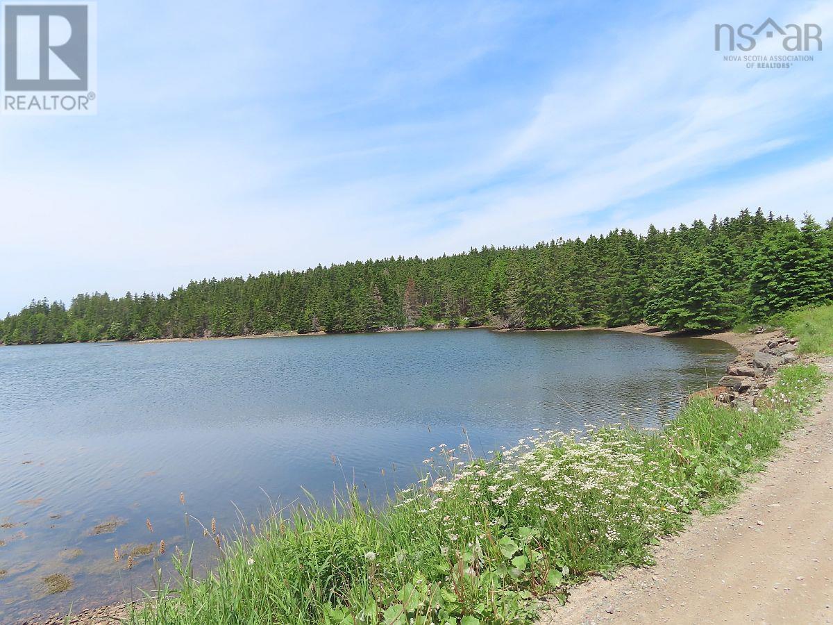 9.9 Acres Grand Greve Road Property Photo 2