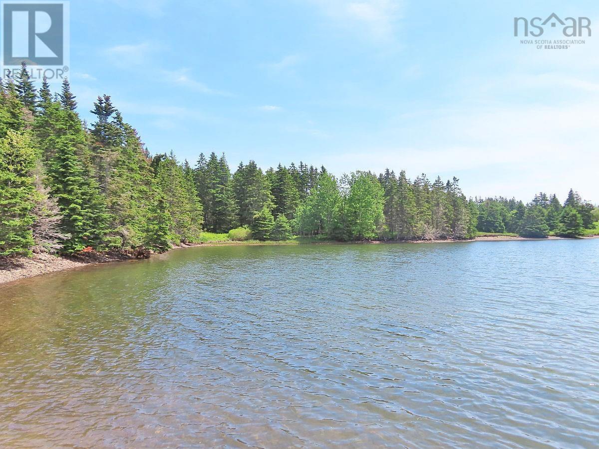9.9 Acres Grand Greve Road Property Photo 4