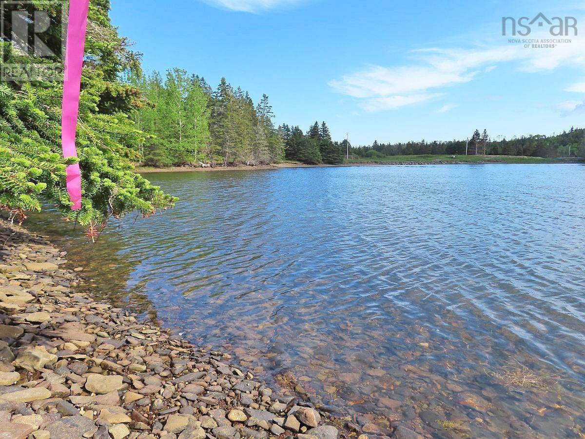 9.9 Acres Grand Greve Road Property Photo 6