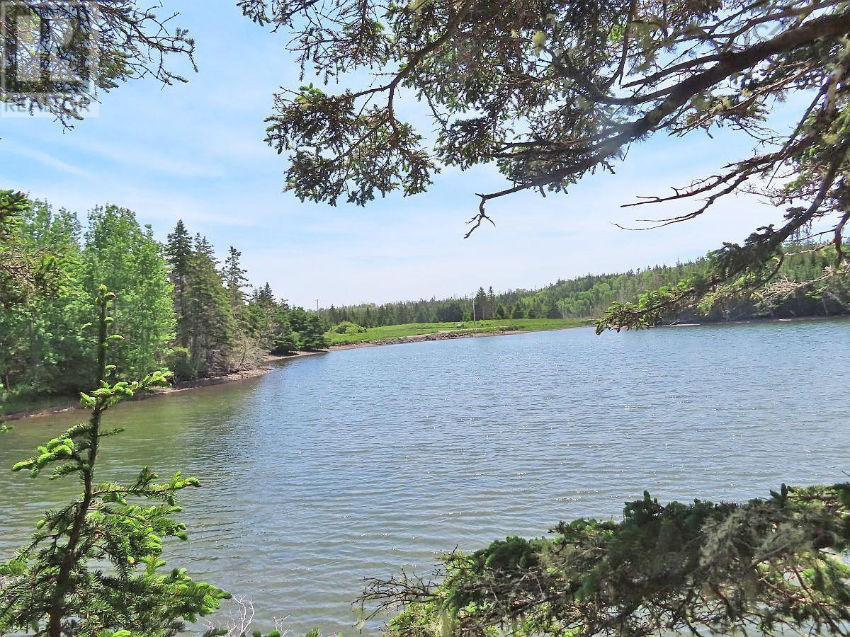 9.9 Acres Grand Greve Road Property Photo 8