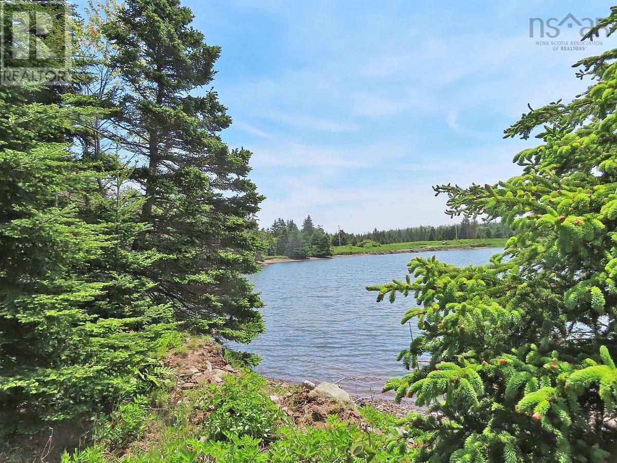 9.9 Acres Grand Greve Road Property Photo 9