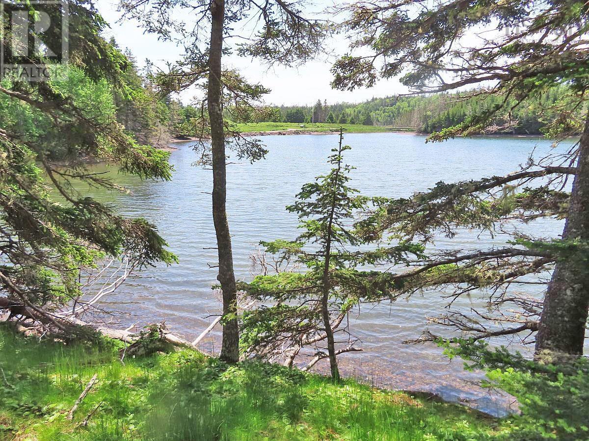 9.9 Acres Grand Greve Road Property Photo 10
